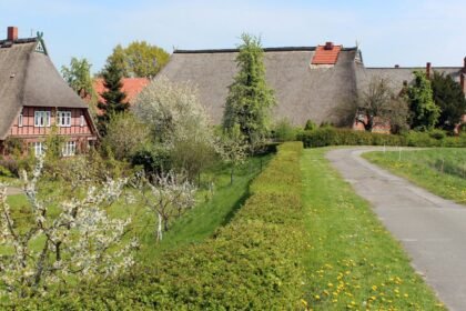 Westerfleth: Dorf zwischen Elbe, Marschland und Geschichte